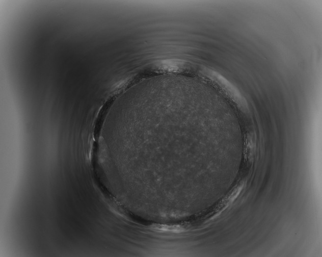 X0000087690500200705111323