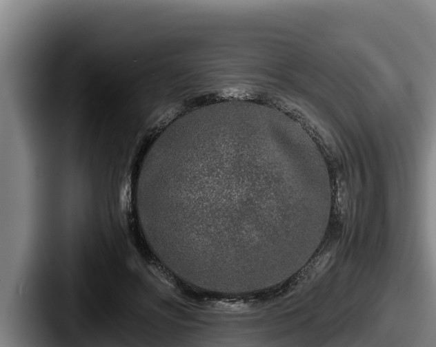 X0000087690502200705111323