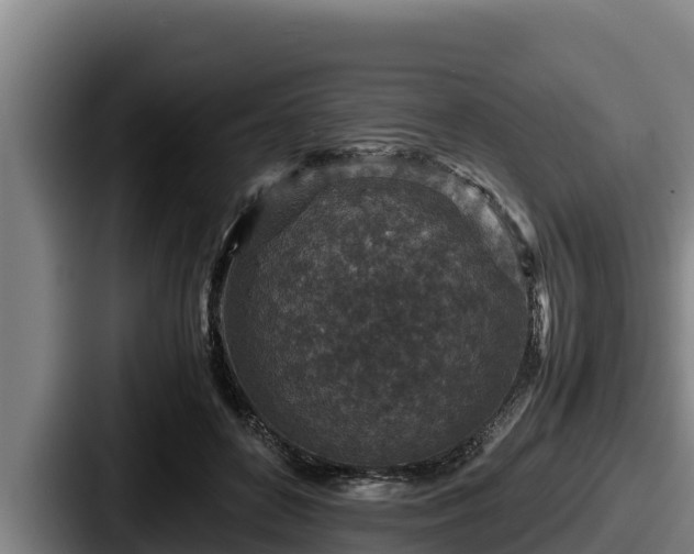 X0000087690504200705111323