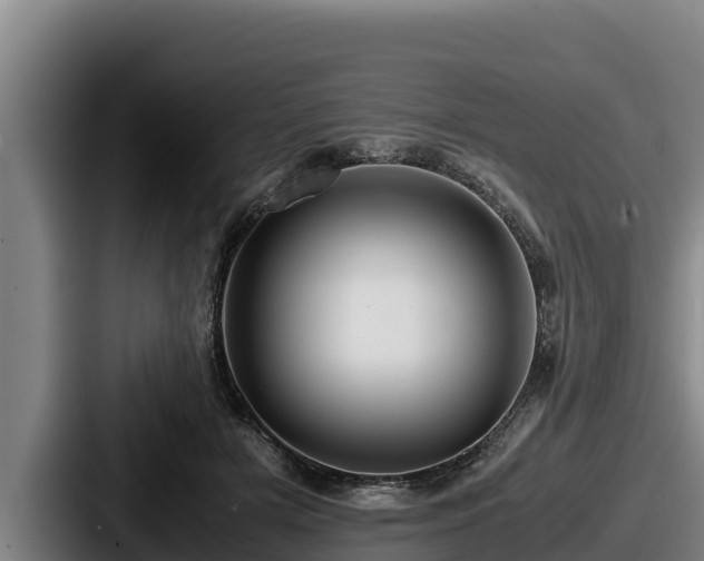 X0000087690505200705111323
