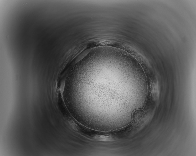 X0000087690506200705111323