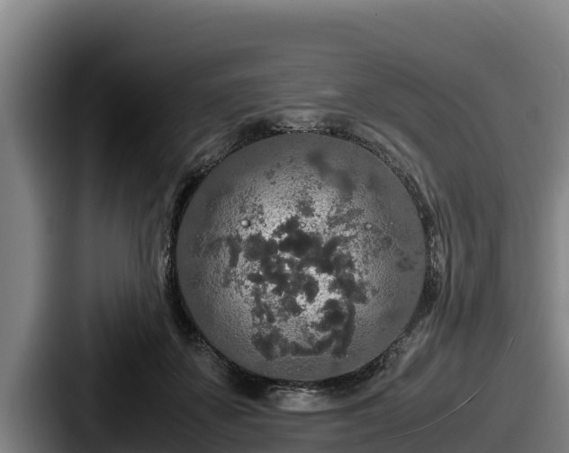 X0000087690507200705111323