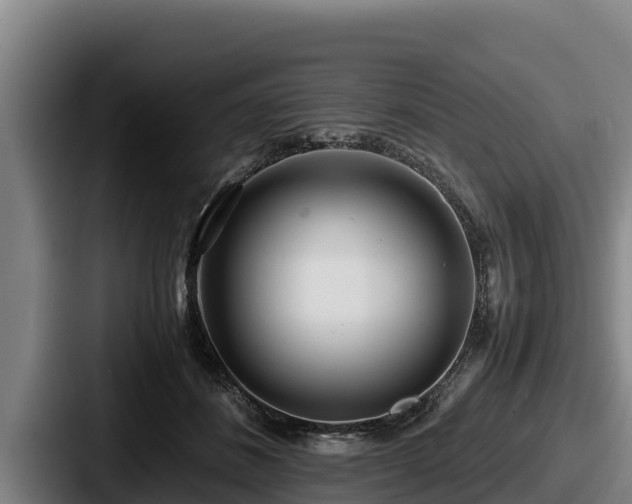 X0000087690508200705111323
