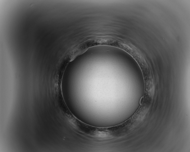 X0000087690510200705111323
