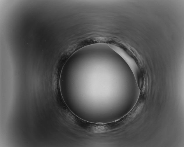 X0000087690513200705111323