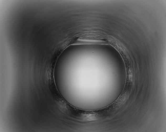 X0000087690514200705111323