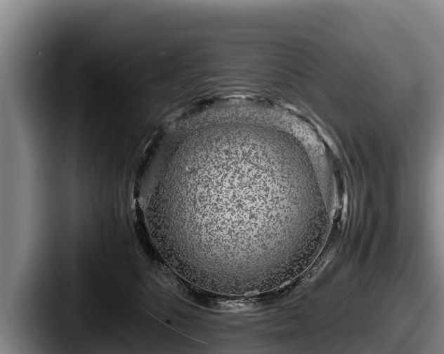 X0000087690516200705111323