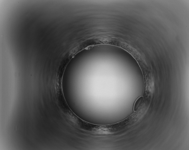 X0000087690518200705111323