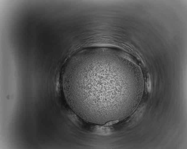X0000087690520200705111323