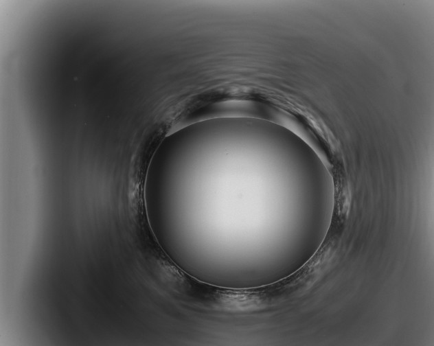 X0000087690521200705111323