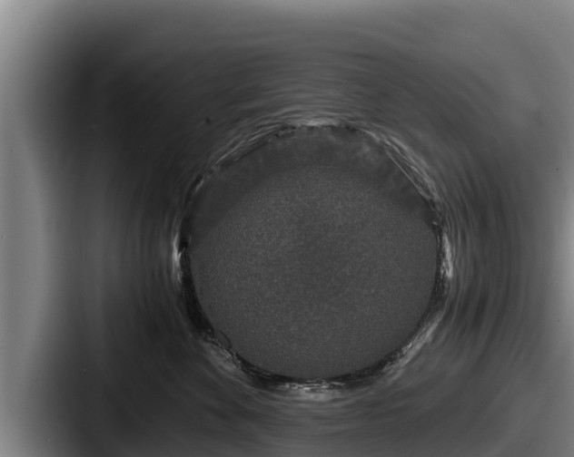 X0000087690524200705111323