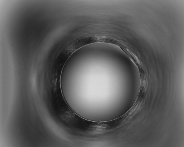X0000087690525200705111323