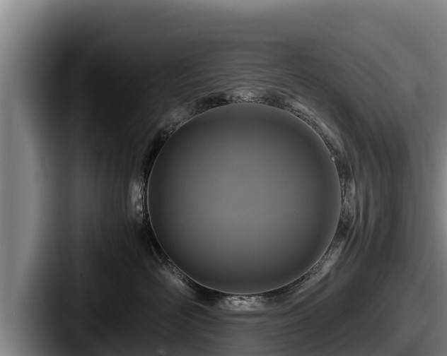 X0000087690526200705111323