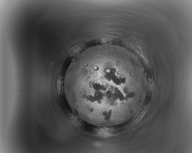 X0000087690527200705111323
