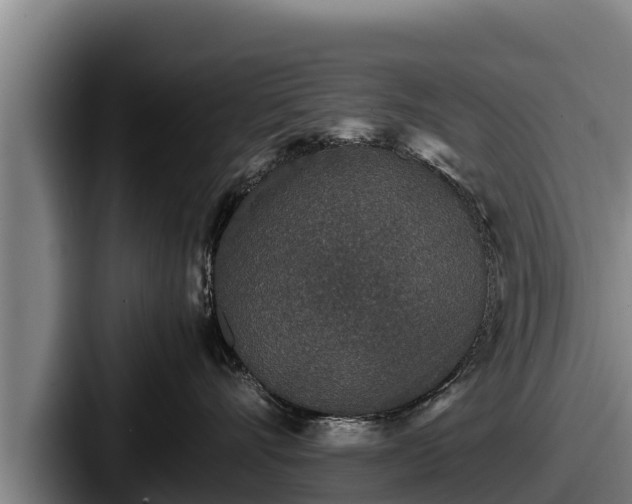 X0000087690528200705111323