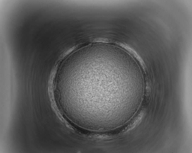 X0000087690529200705111322