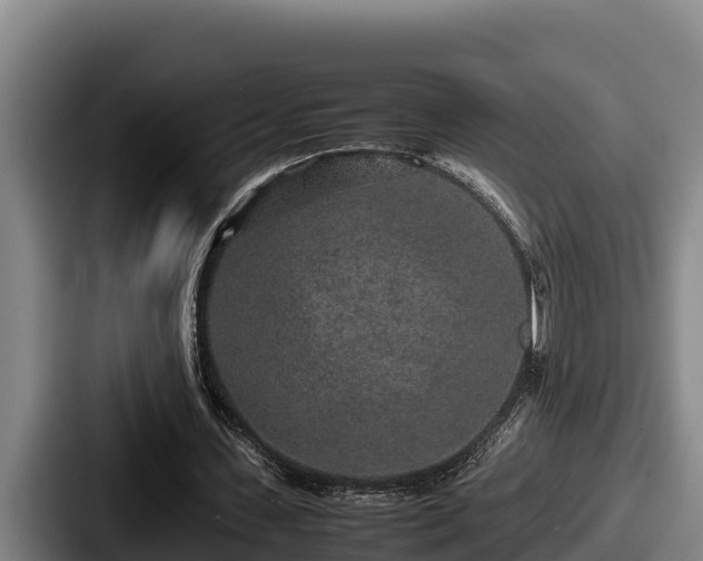 X0000087690531200705111322