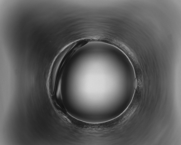 X0000087690532200705111322