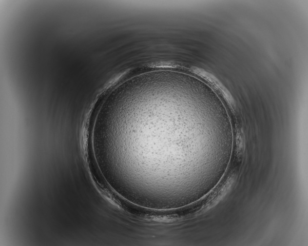X0000087690533200705111322