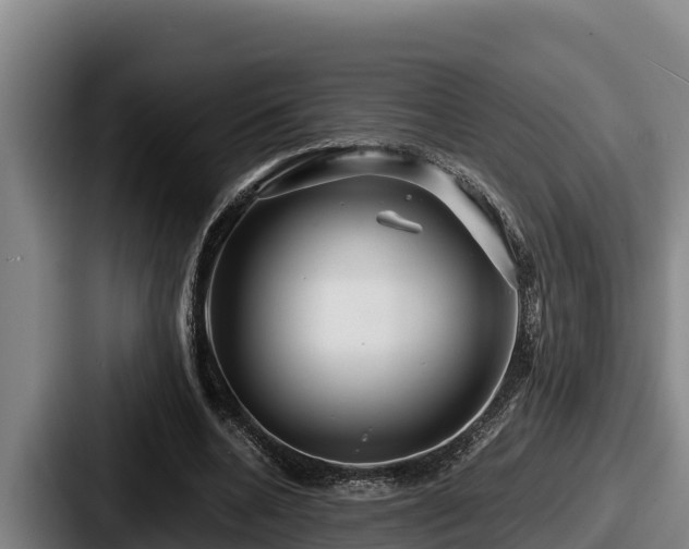 X0000087690536200705111322