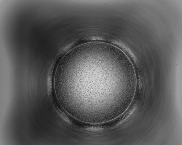 X0000087690537200705111322