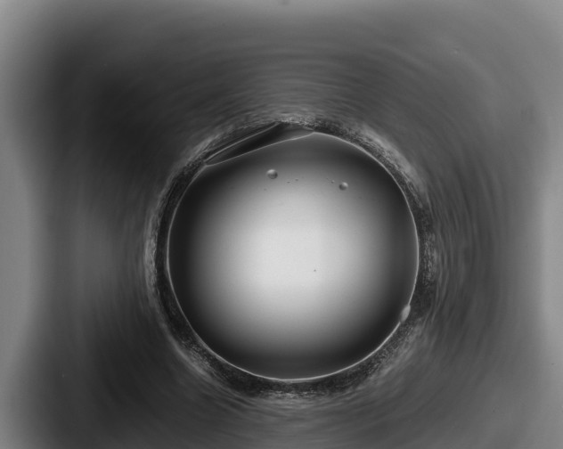 X0000087690538200705111322