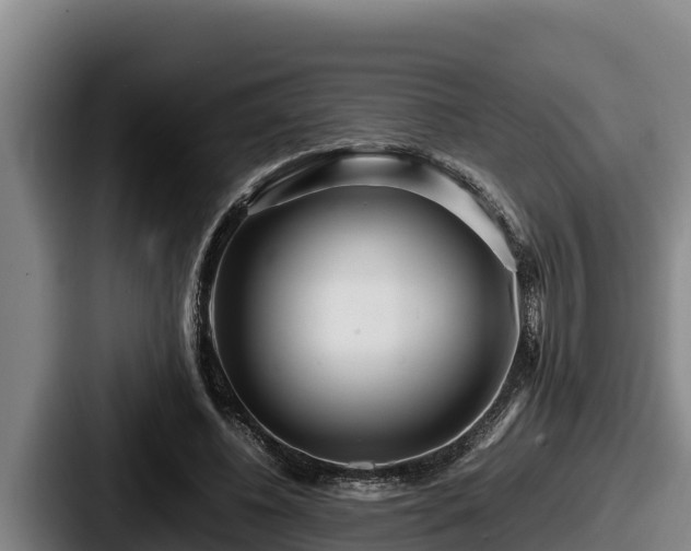 X0000087690540200705111322