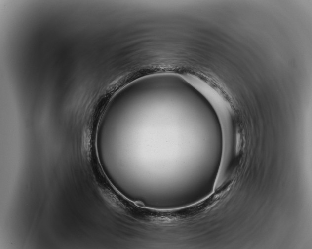 X0000087690542200705111322