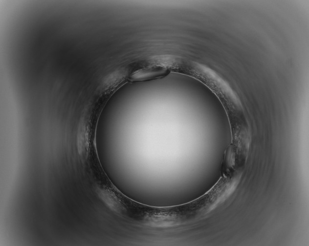 X0000087690546200705111322