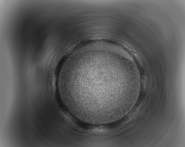 X0000087690550200705111323