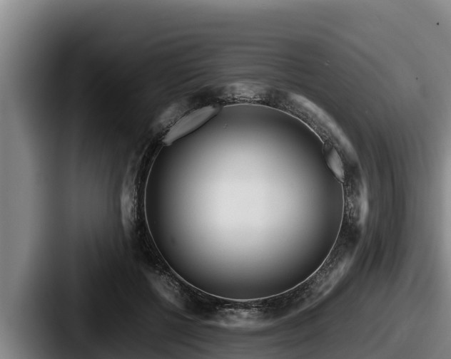 X0000087690552200705111323