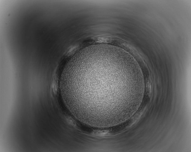 X0000087690554200705111323