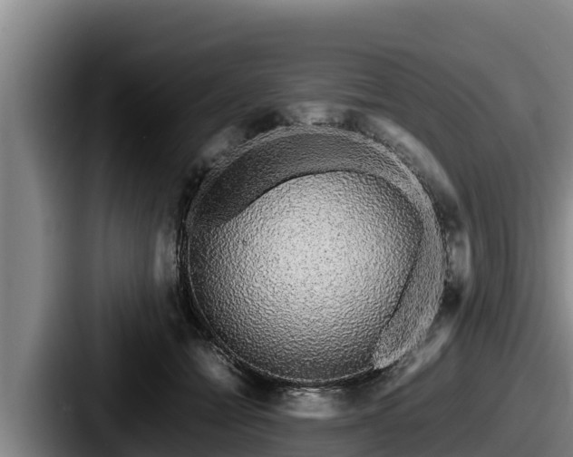 X0000087690558200705111323