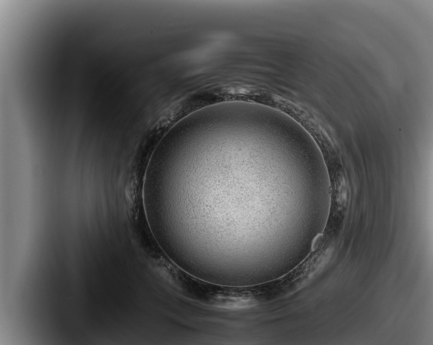 X0000087690559200705111323