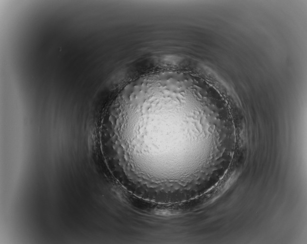 X0000087690561200705111323