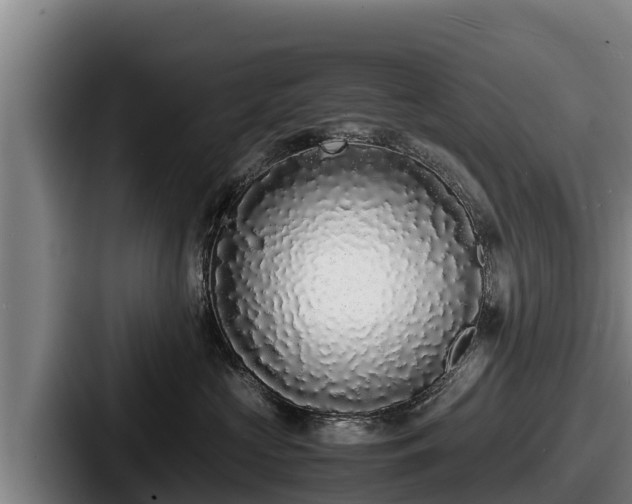 X0000087690573200705111323