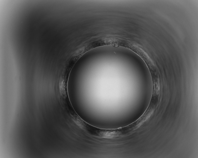 X0000087690575200705111323