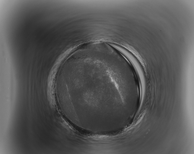 X0000087690577200705111322