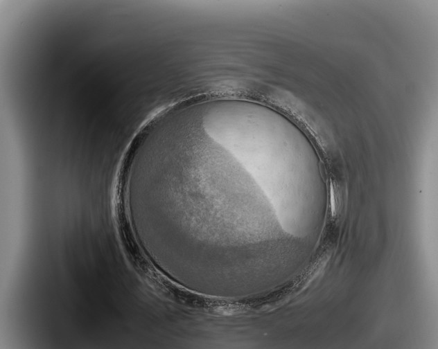 X0000087690579200705111322