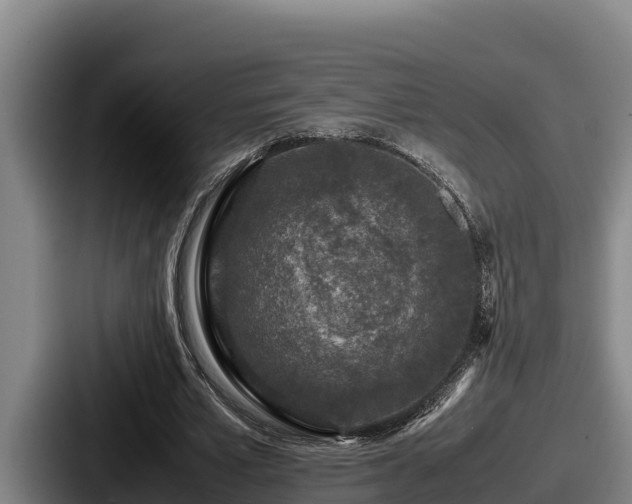 X0000087690581200705111322