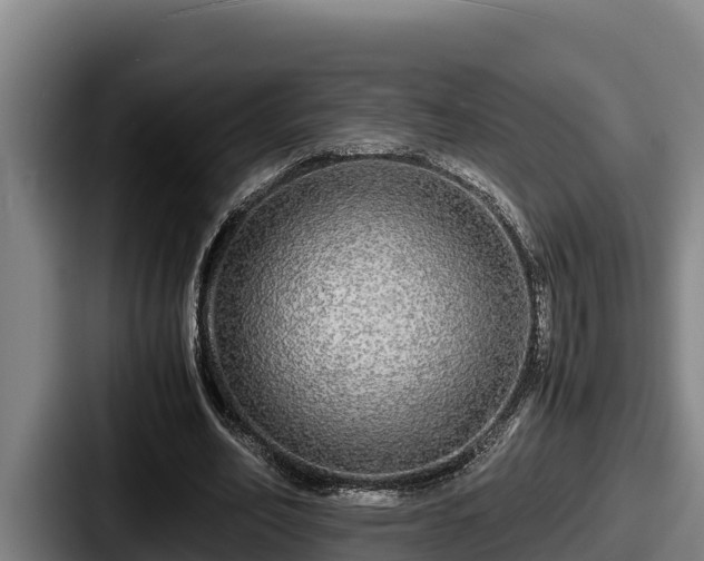 X0000087690582200705111322