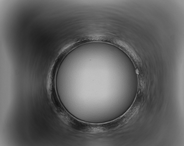 X0000087690583200705111322