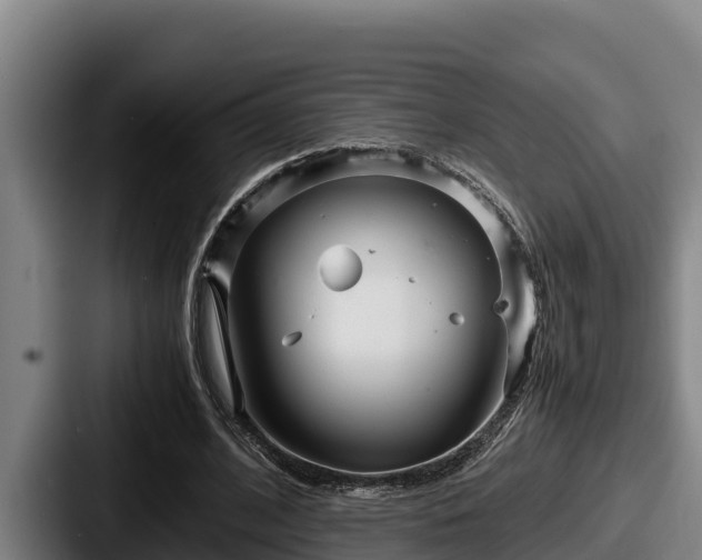 X0000087690584200705111322
