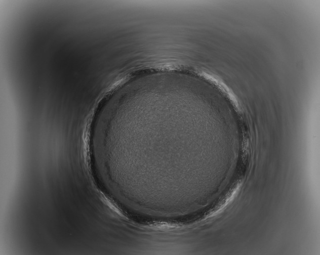 X0000087690585200705111322