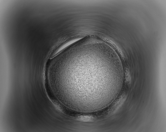 X0000087690586200705111322