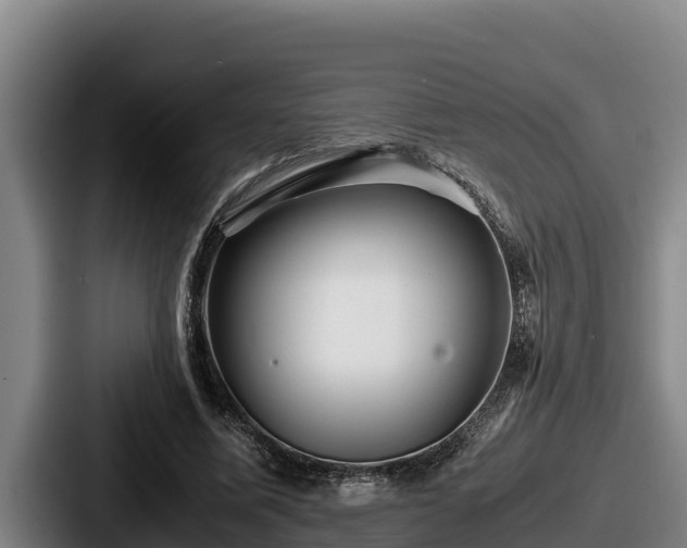 X0000087690587200705111322