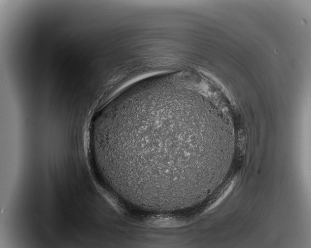 X0000087690589200705111322