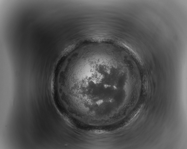 X0000087690590200705111322