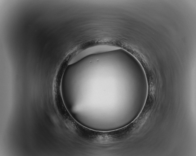 X0000087690591200705111322
