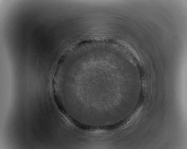 X0000087690593200705111322